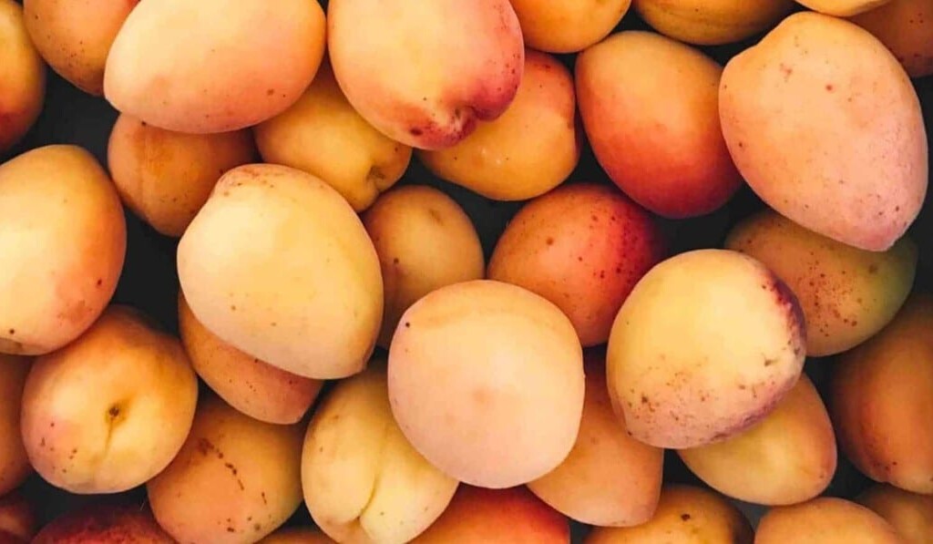 Traum Mango - Traum Bedeutung Mango