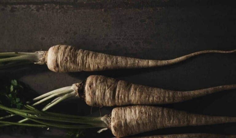 Pastinake