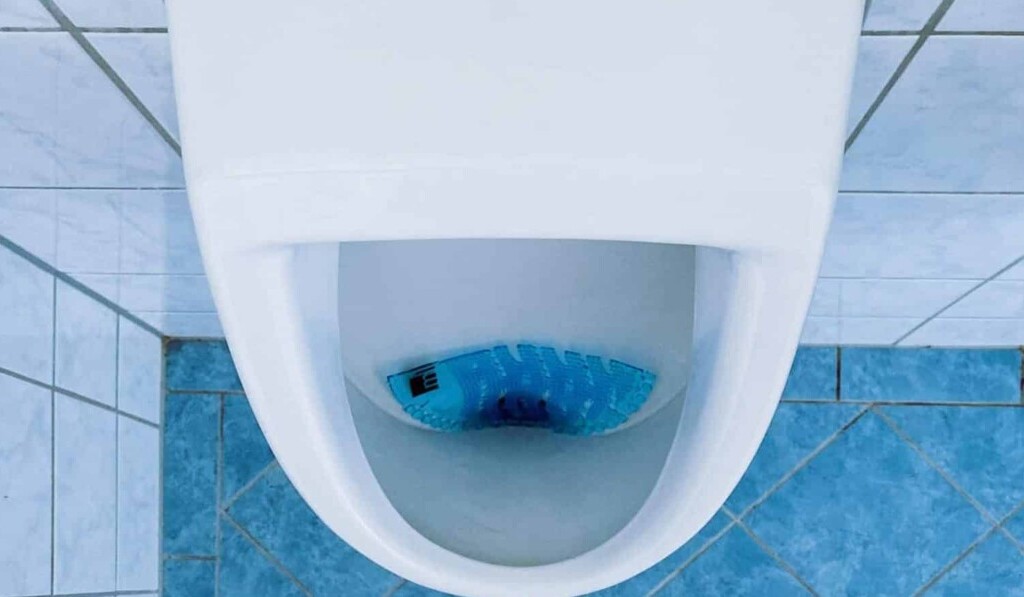 Toilette oder Klosett