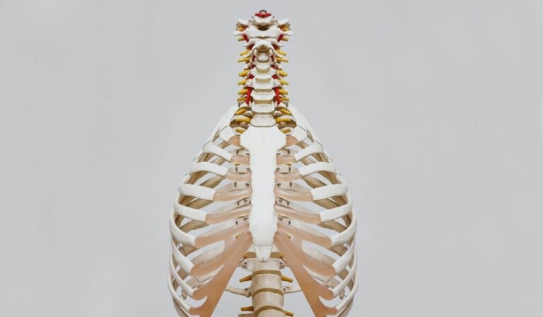 tuberculose