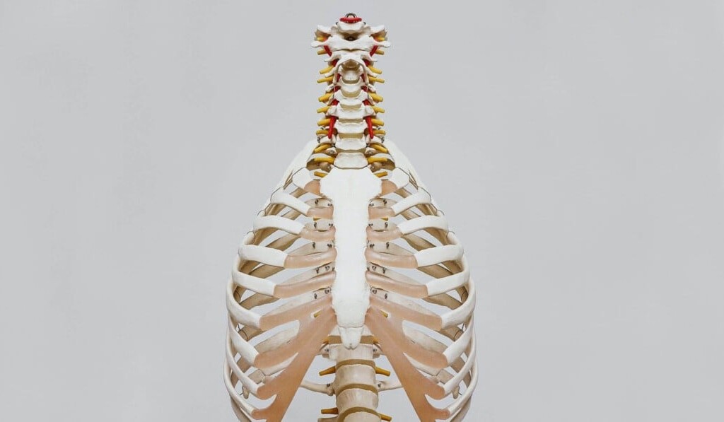 tuberculose