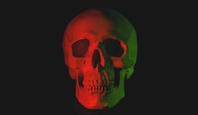 Craniu de vis - craniu de vis înseamnă craniu