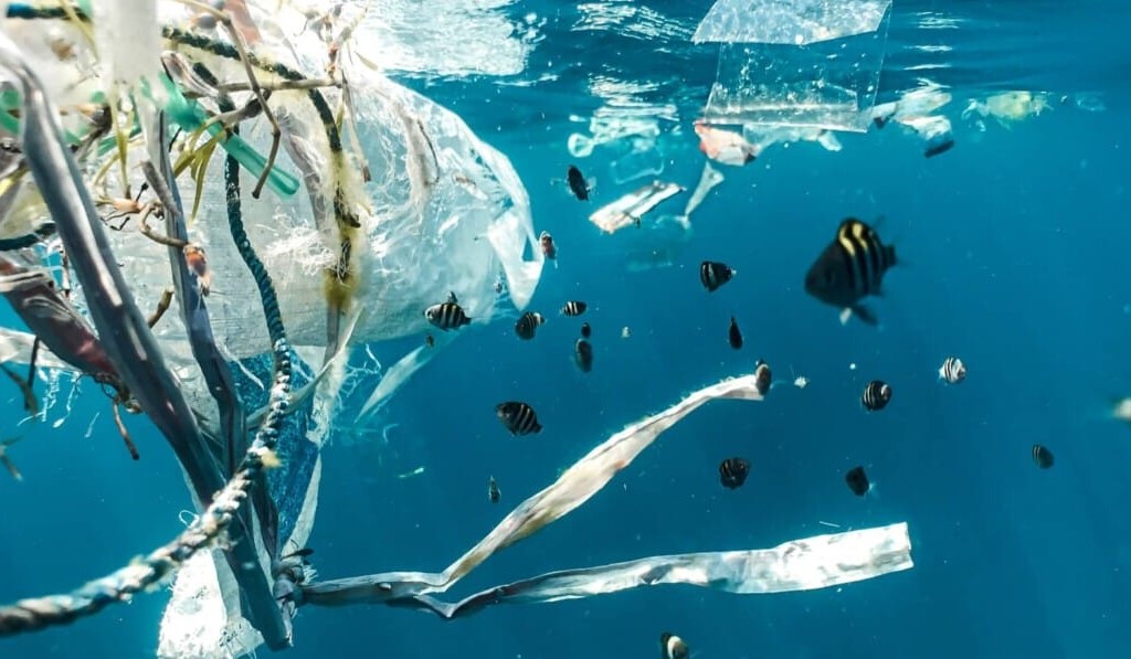 Drøm plast - drømmens betydning plast