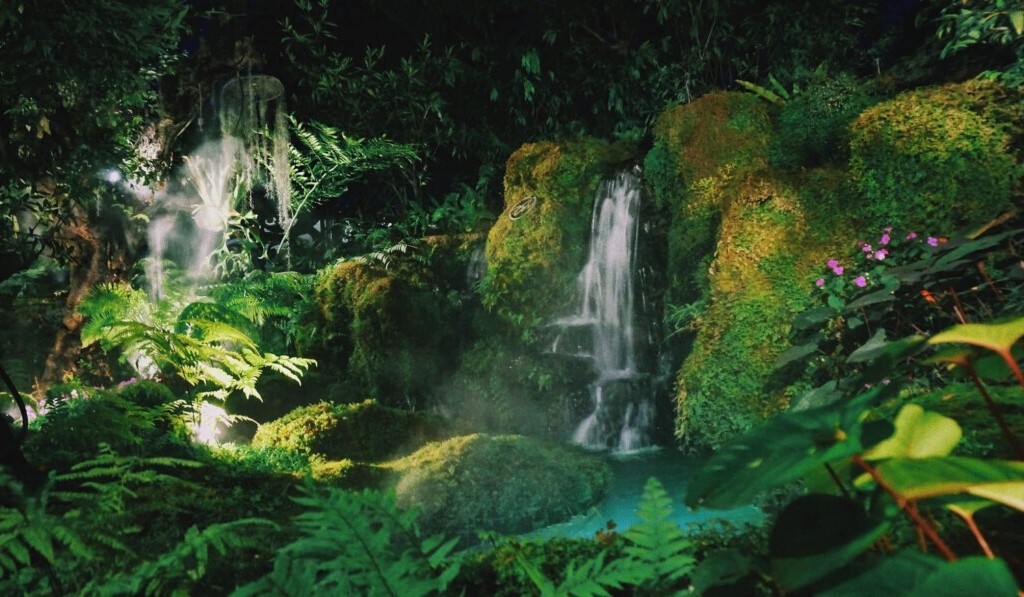 Drømmejungle - drømmetydning jungle - drømmeforklaring på dreams.site
