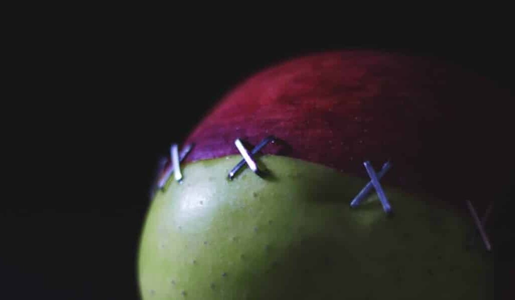 pripojiť