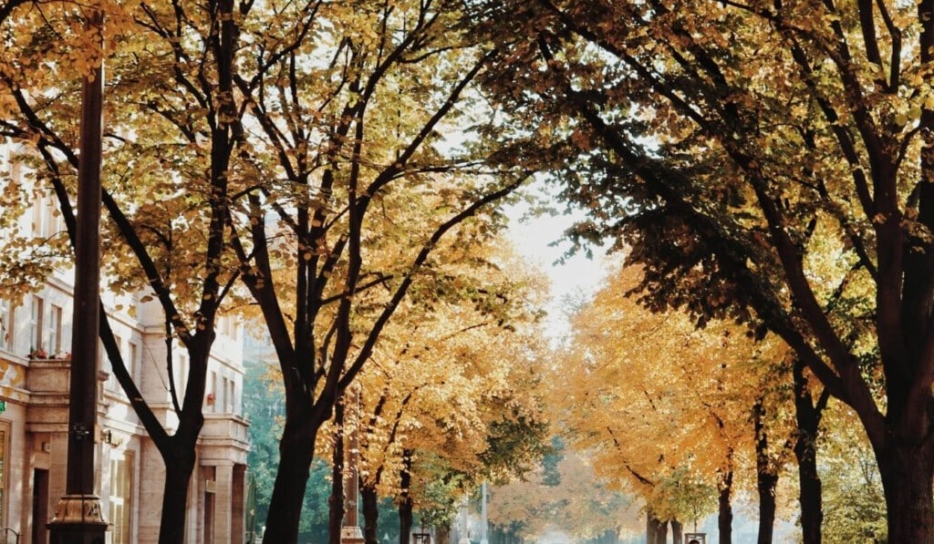 Sanje oktober - pomen sanj Oktober