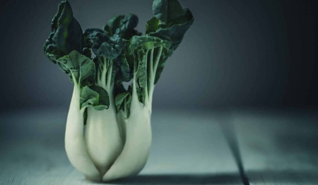 Sanje pak choi (kitajsko zelje) - pomen sanj pak choi (kitajsko zelje)