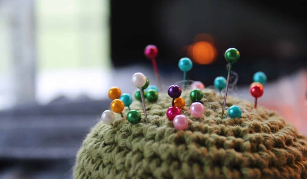 Sanje pincushion - pomen sanj pincushion