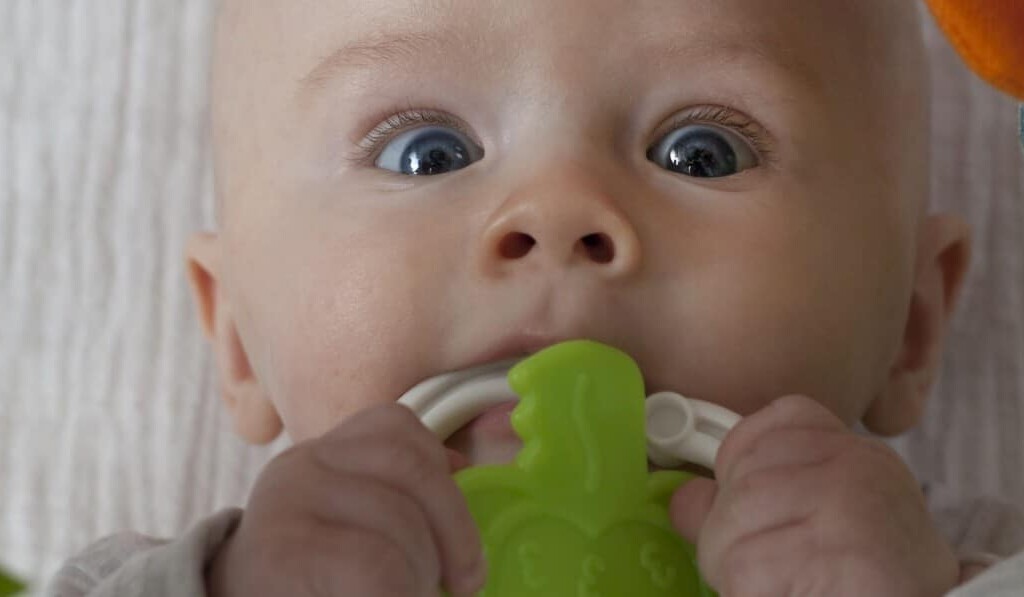 Sanje rattle - pomen sanj rattle