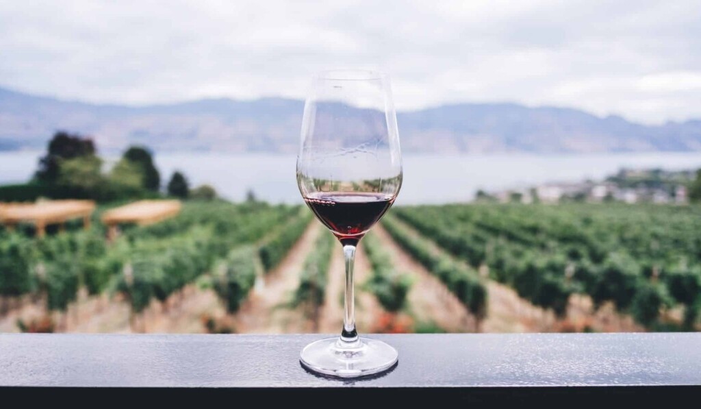 Sanje vinograd - pomen sanj vinograd