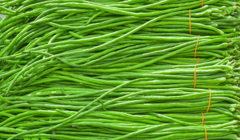 Vis jartieră (legume) - semnificația visului jartieră (legume)