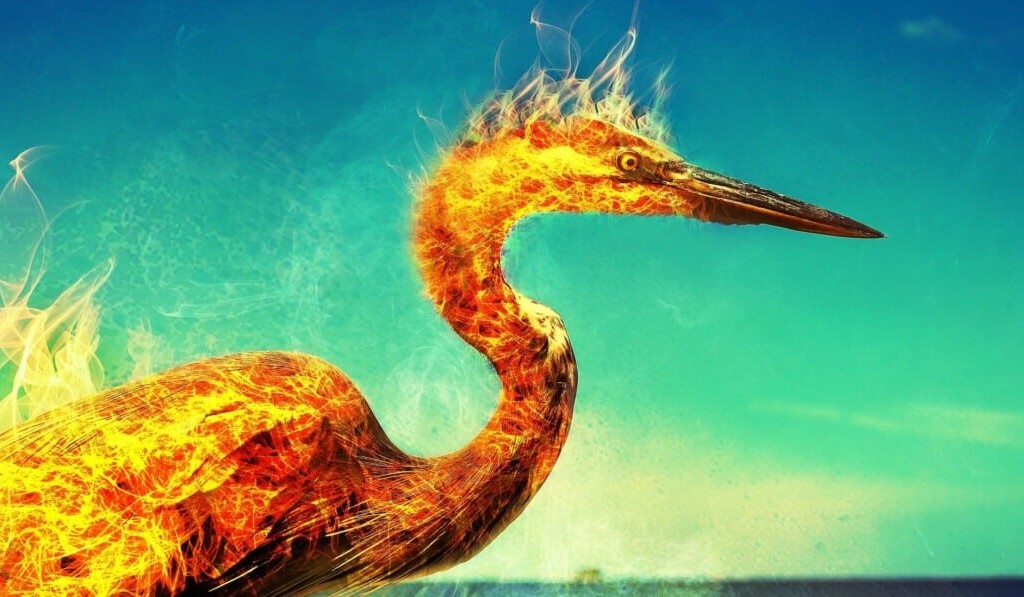 Vis phoenix - visul phoenix