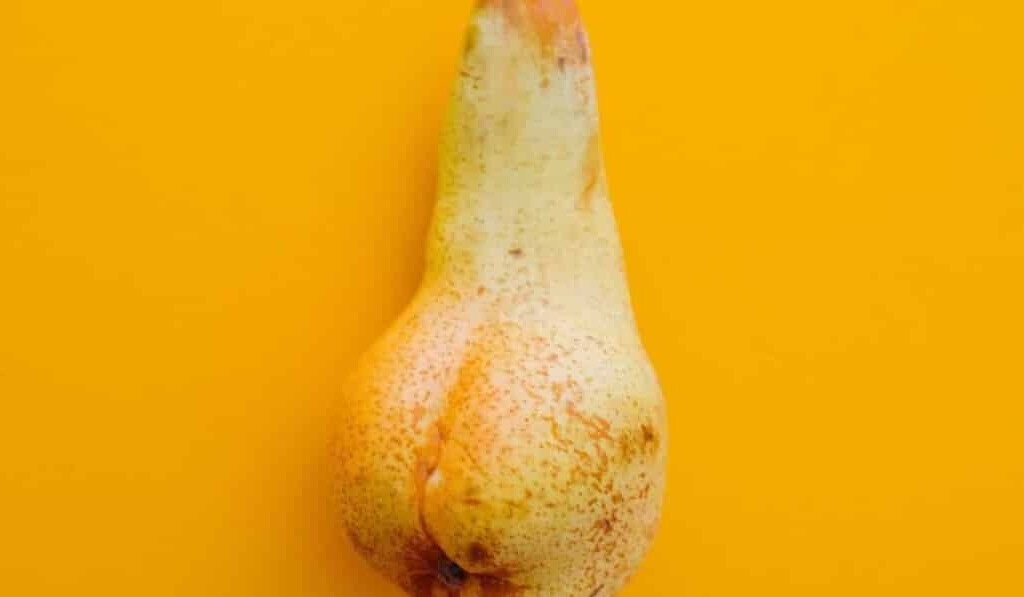 Visul phallus - semnificația visului phallus