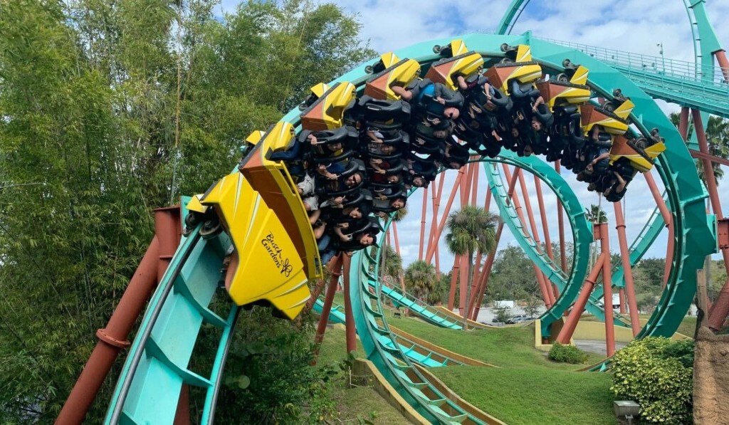 Visul roller coaster - visul înseamnă roller coaster