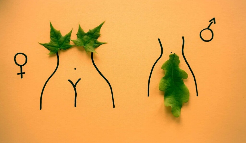 Genitalia we śnie - znaczenie snu genitalia