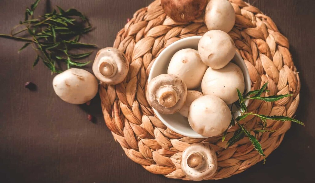 Wyśnij grzyb (jedzenie) - znaczenie snu grzyb (jedzenie)