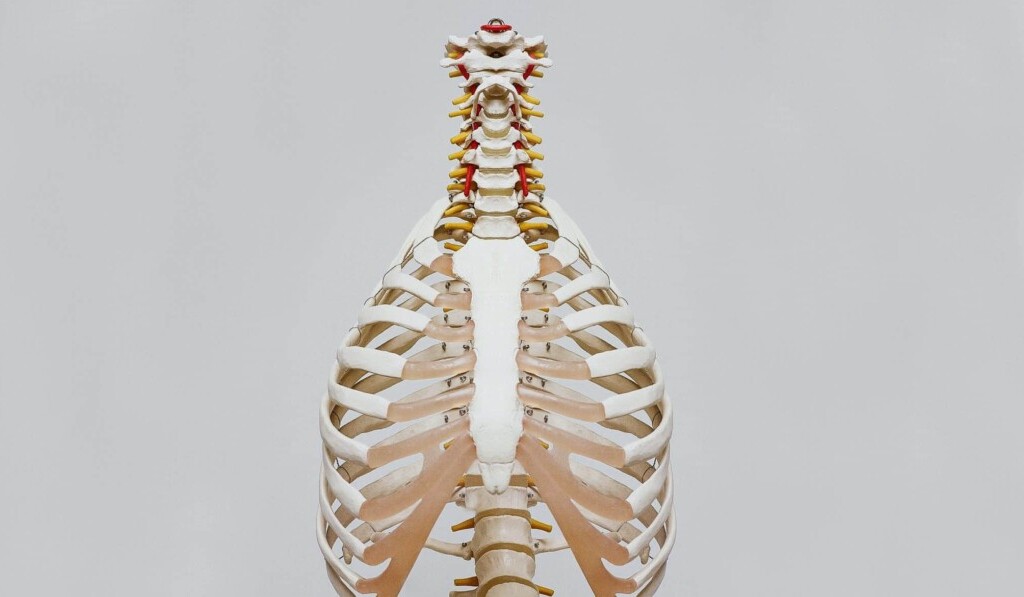 tuberculose