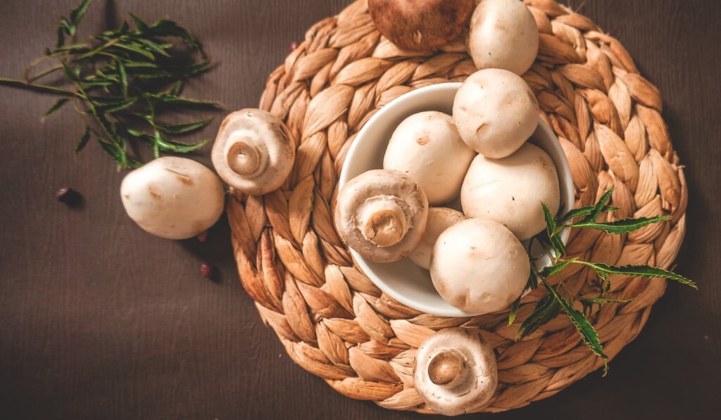 Pilz (Lebensmittel)