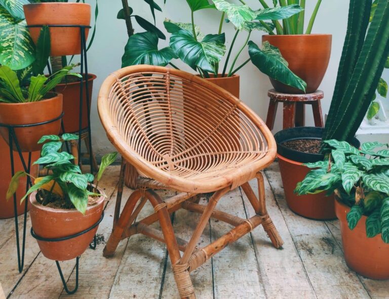 chaise en rotin