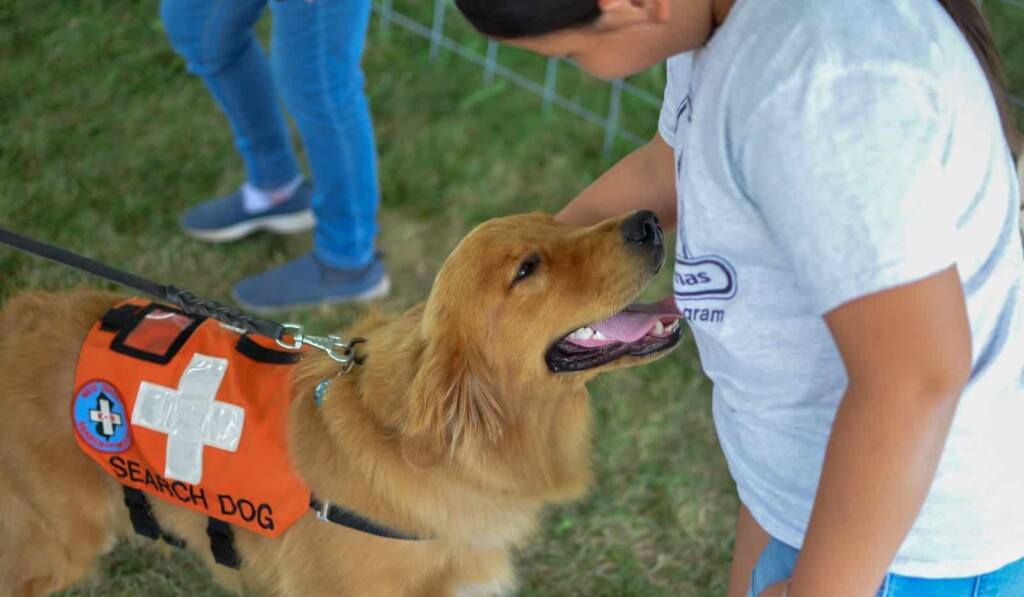 chien d'assistance