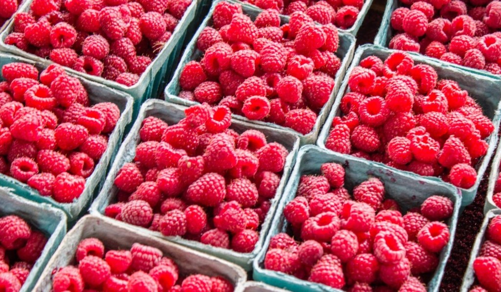 Rêve de framboises - signification du rêve framboises