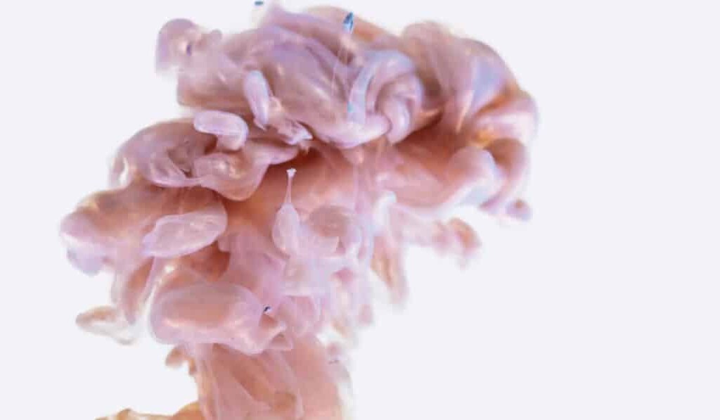 Rêve d'organes ou de viscères - signification du rêve organes ou viscères