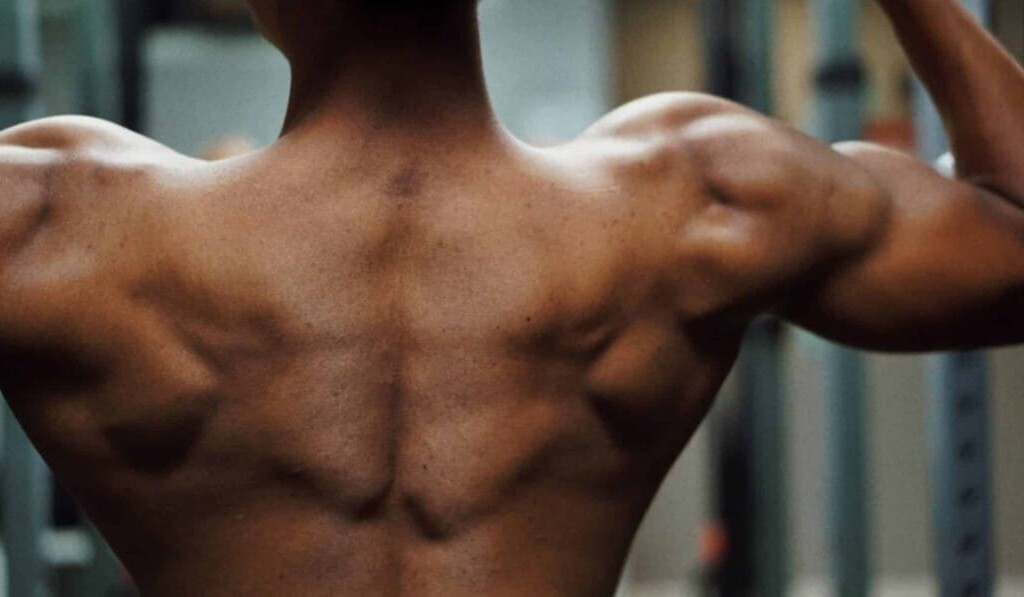 Rêve muscles - signification du rêve muscles