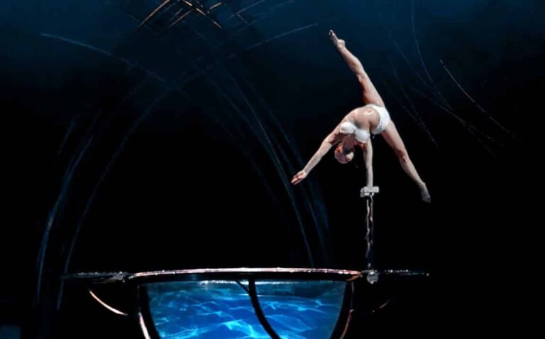 Vis despre acrobat | Semnificație și interpretare