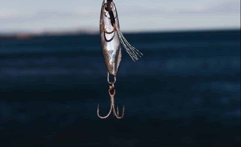 Droom over aas | Betekenis en uitleg