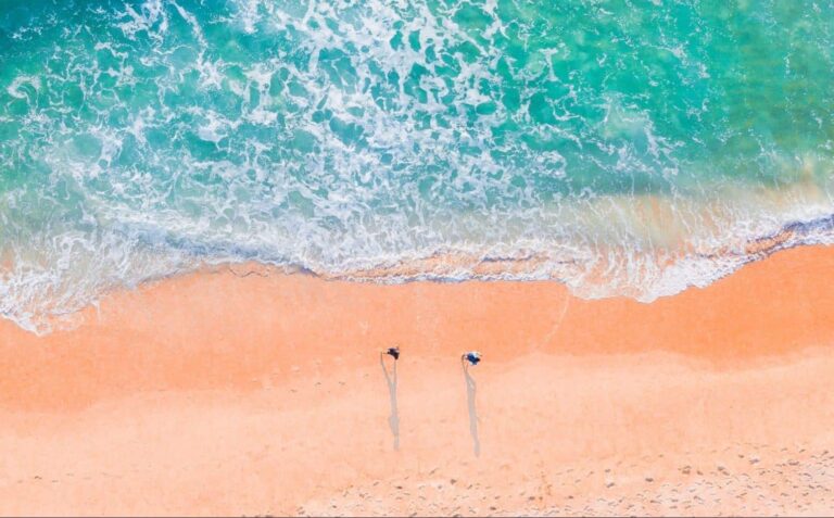 Vis despre plaja | Semnificație și interpretare