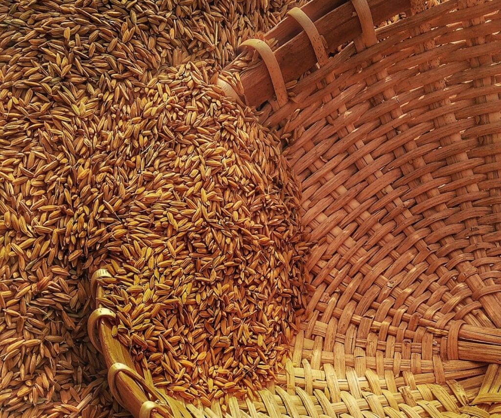 Vis despre cereale | Semnificație și interpretare