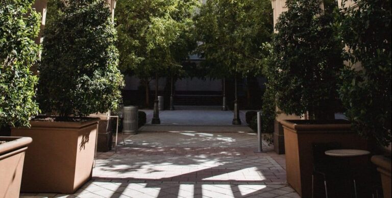 Droom over binnenplaats of patio | Betekenis en uitleg