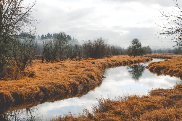 Droom over sloot of gracht | Betekenis en uitleg