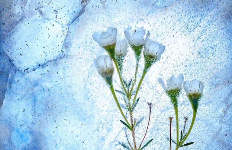 erfrieren im Traum | Traumdeutung und Bedeutung