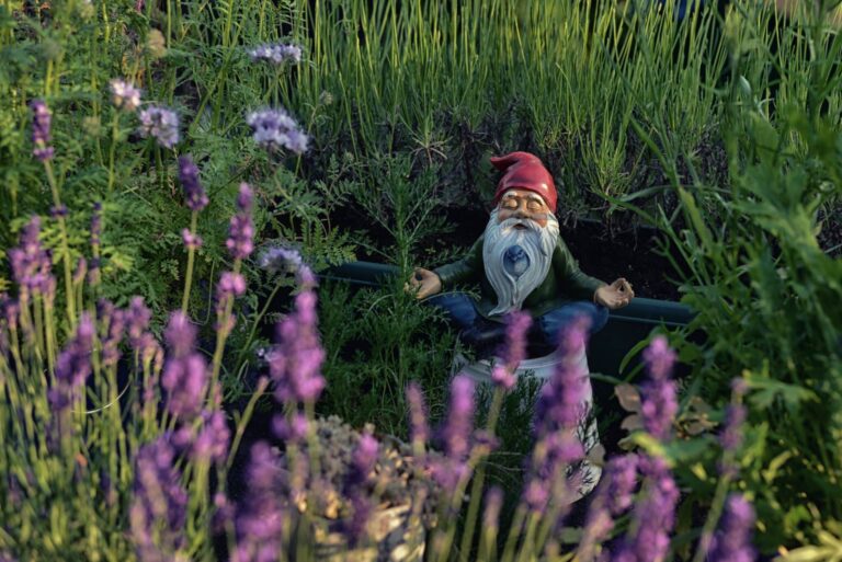 Rêver de gnome | Signification et interprétation