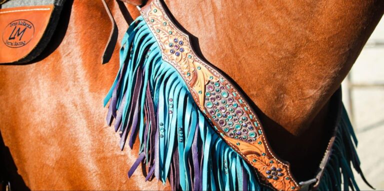 Sognare imbracatura per cavalli | Significato e interpretazione