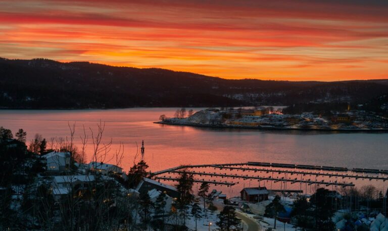 Droom over januari | Betekenis en uitleg