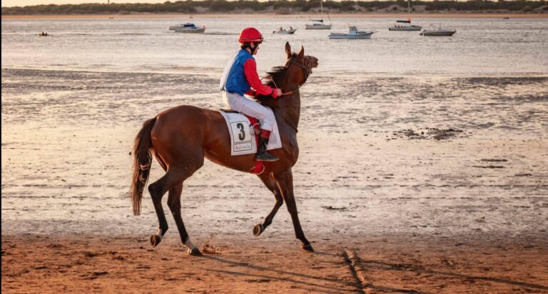 Sanje o dzokej | Pomen in razlaga