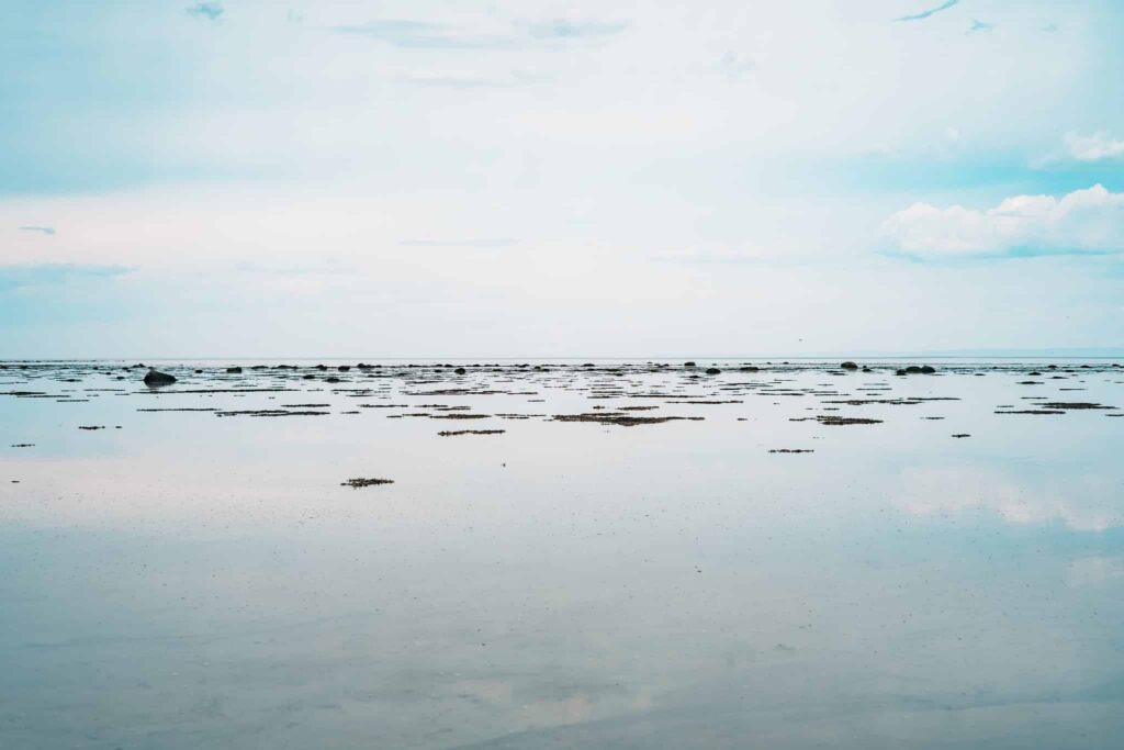 Sen o przyplyw | Znaczenie snu