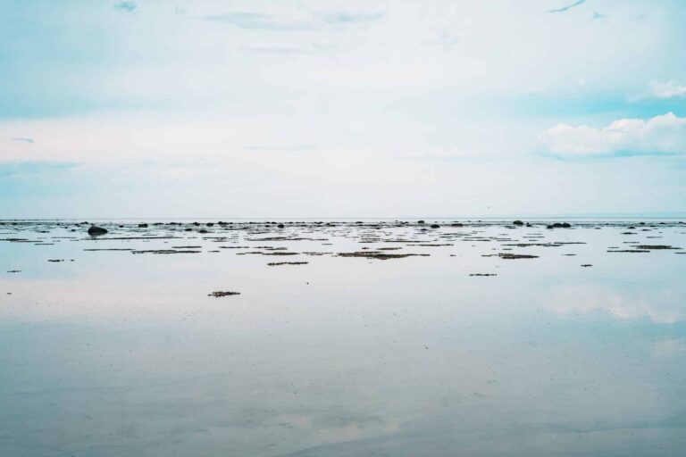 Droom over eb | Betekenis en uitleg