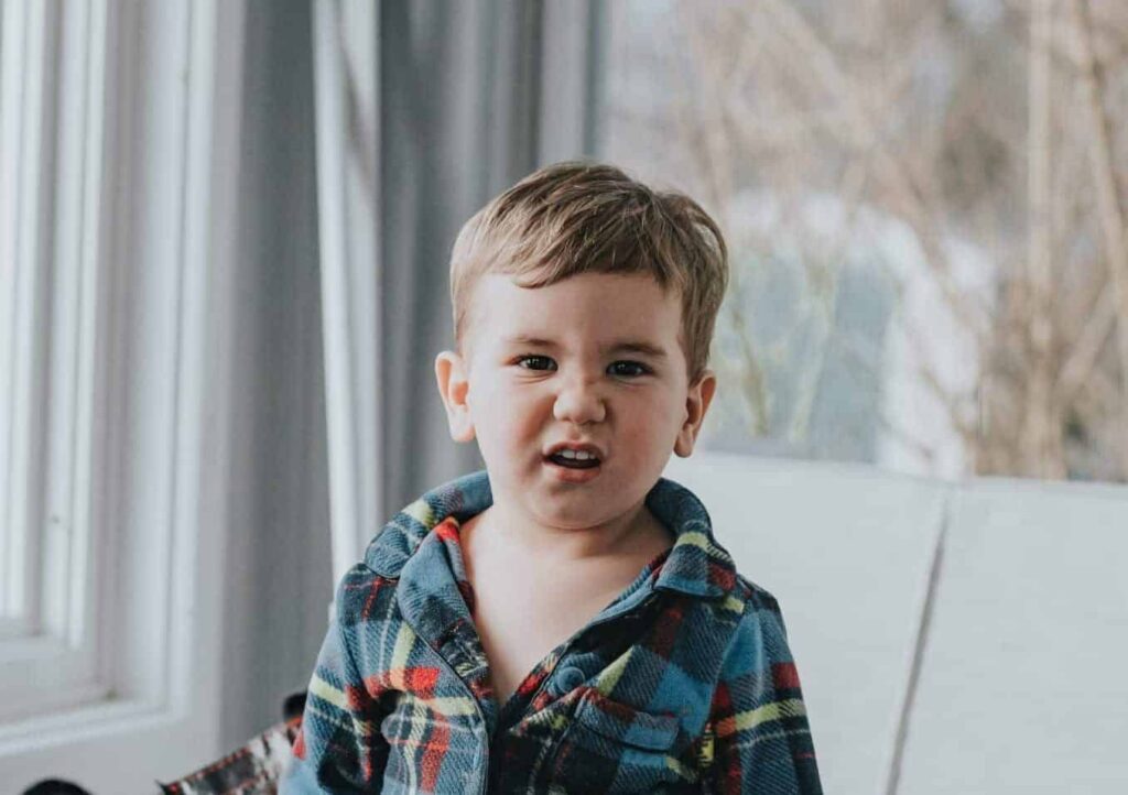 Drøm om nag | Drømmetydning og betydning