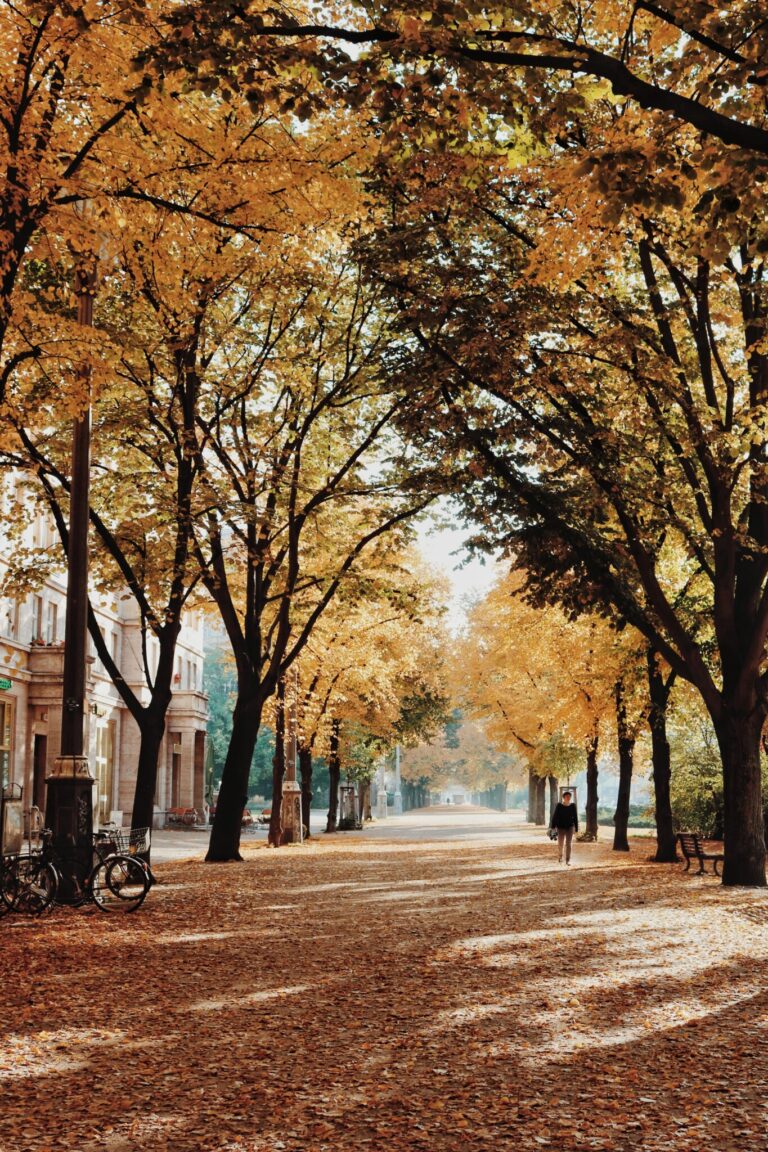 Droom over oktober | Betekenis en uitleg