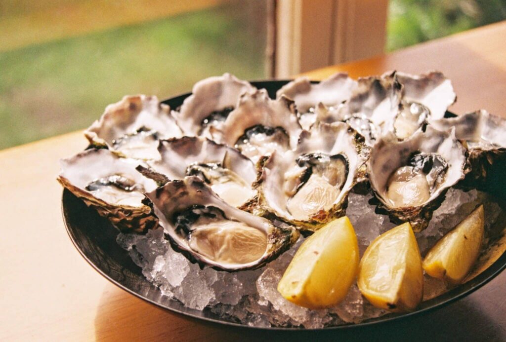 Droom over oesters | Betekenis en uitleg