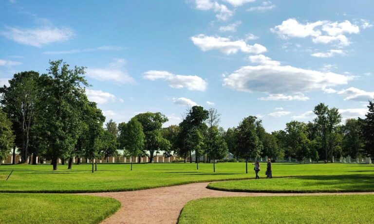 Droom over park | Betekenis en uitleg