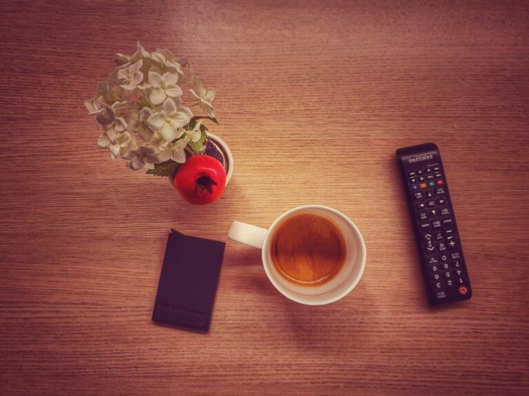 Droom over afstandsbediening | Betekenis en uitleg