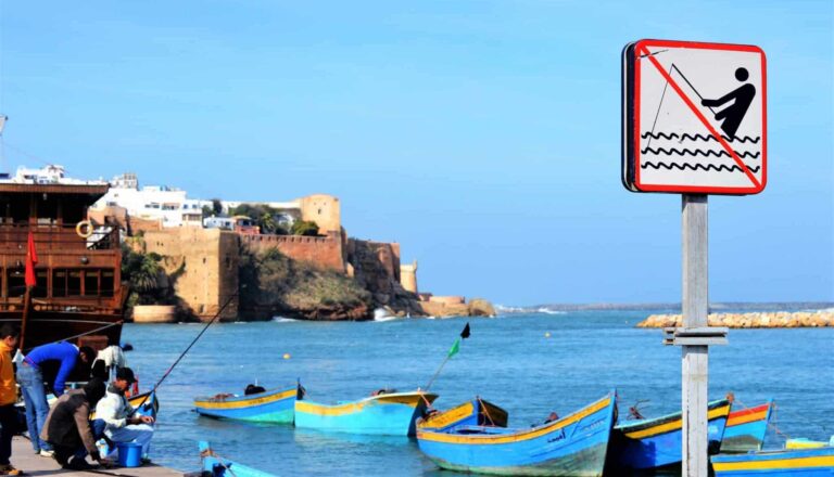 Droom over regels | Betekenis en uitleg