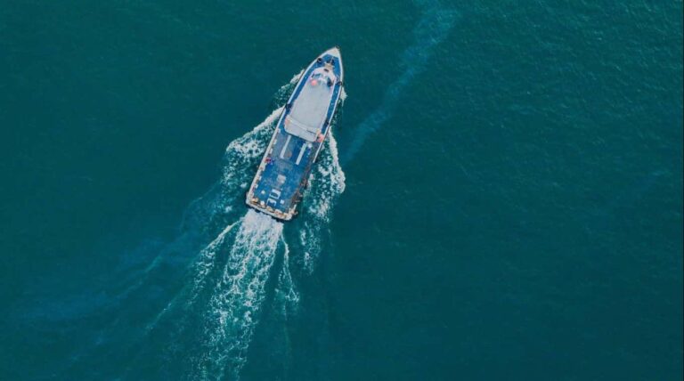 Droom over zeereis | Betekenis en uitleg