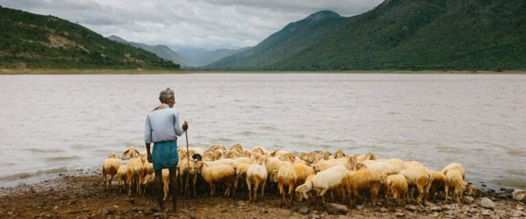 Soñar con pastor 2 | Significado de los sueños