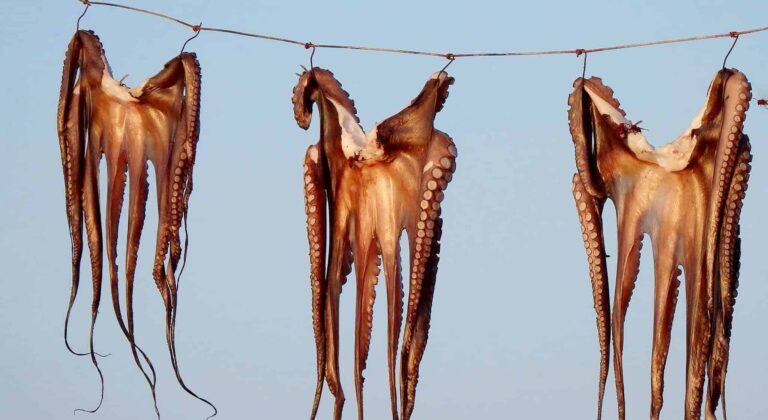 Álom tintahal ról | Jelentés és értelmezés