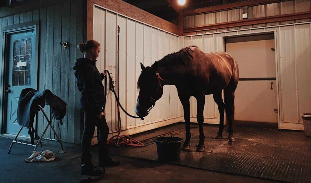 stabil im Traum | Traumdeutung und Bedeutung